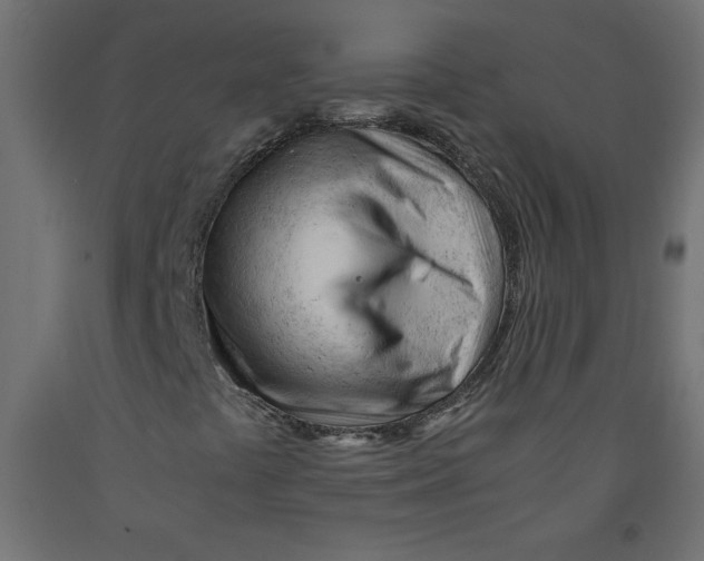 X0000092311441200710121449