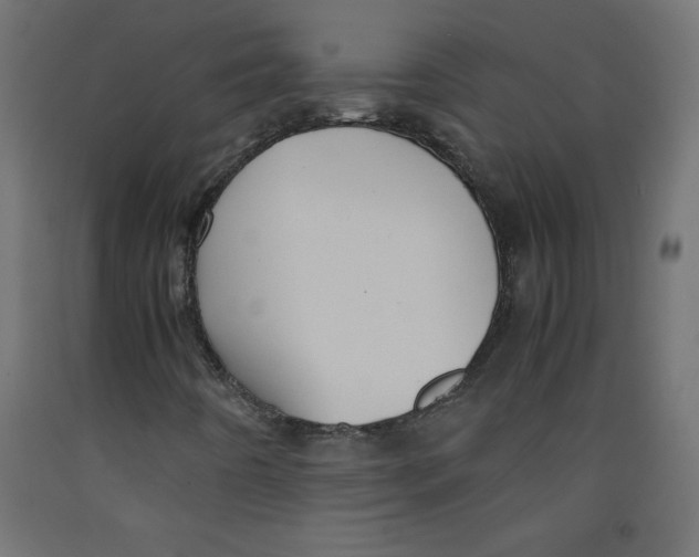 X0000092311442200710121449