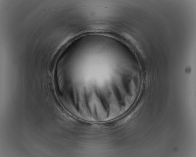 X0000092311449200710121449