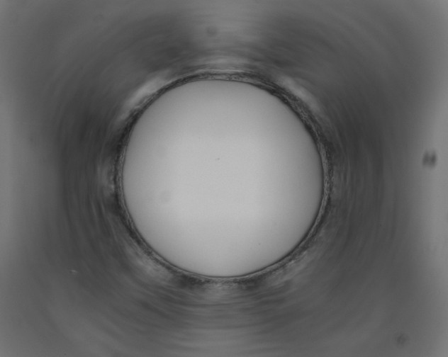 X0000092311451200710121449