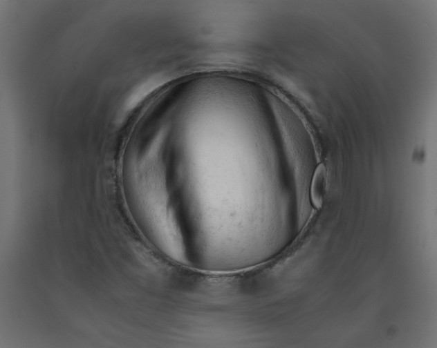 X0000092311453200710121449