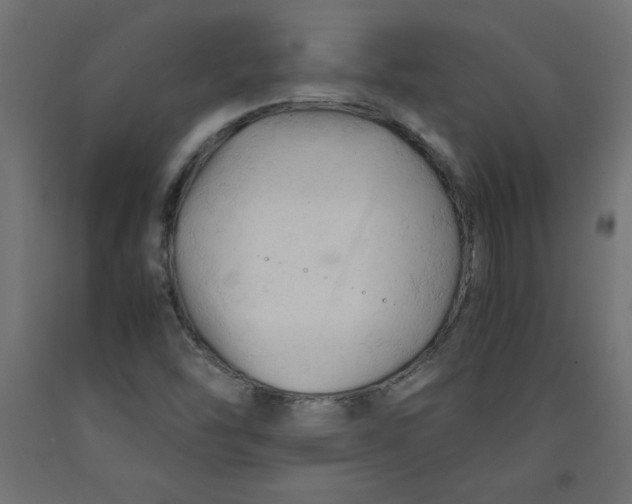 X0000092311454200710121449