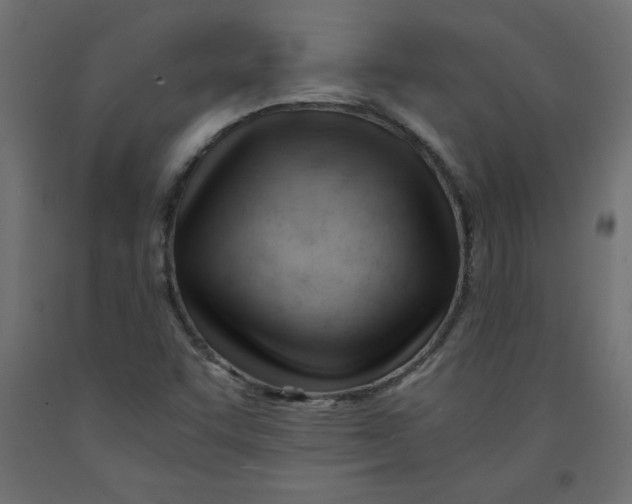 X0000092311455200710121449