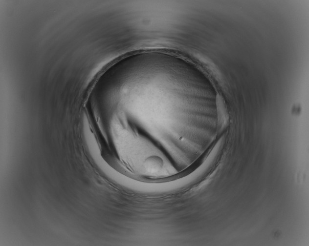 X0000092311457200710121449