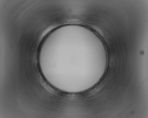 X0000092311458200710121449