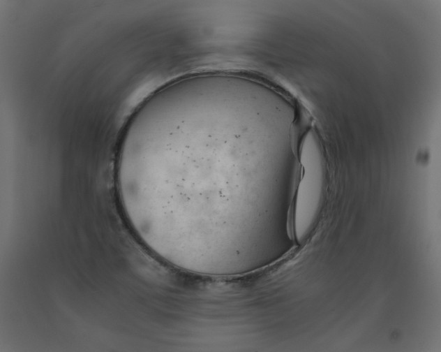 X0000092311459200710121449