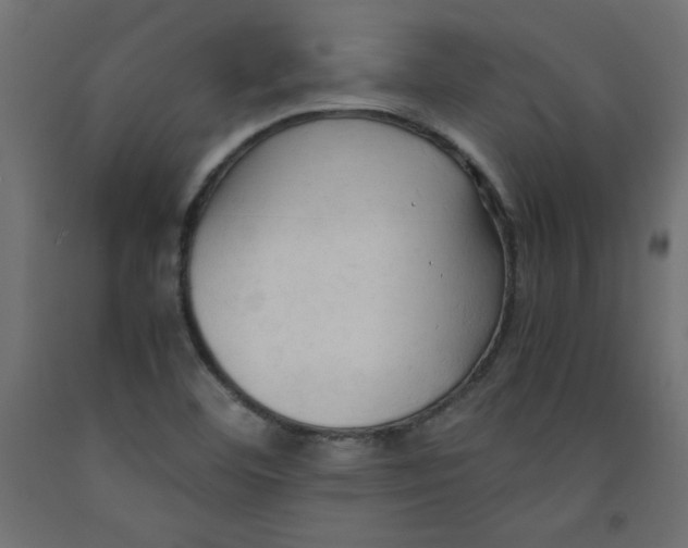 X0000092311460200710121449