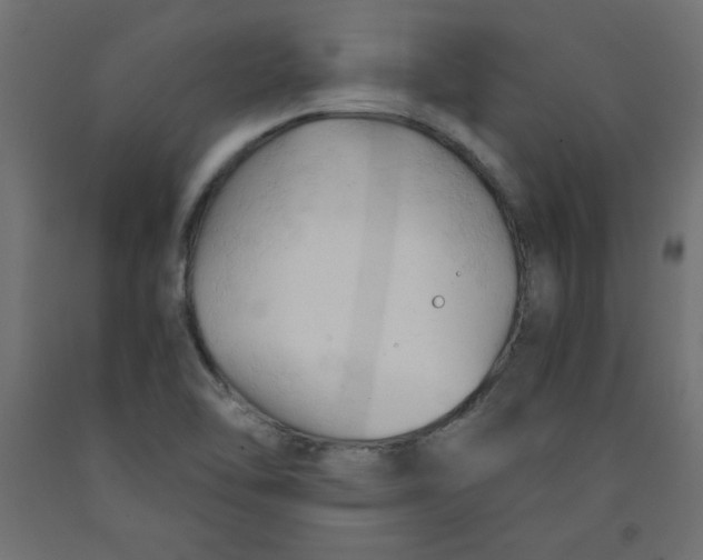 X0000092311462200710121449