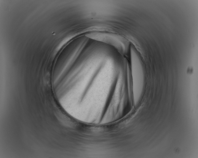 X0000092311465200710121448