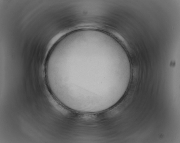 X0000092311466200710121448