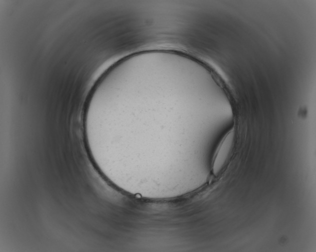 X0000092311468200710121448
