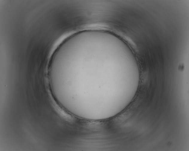 X0000092311470200710121448