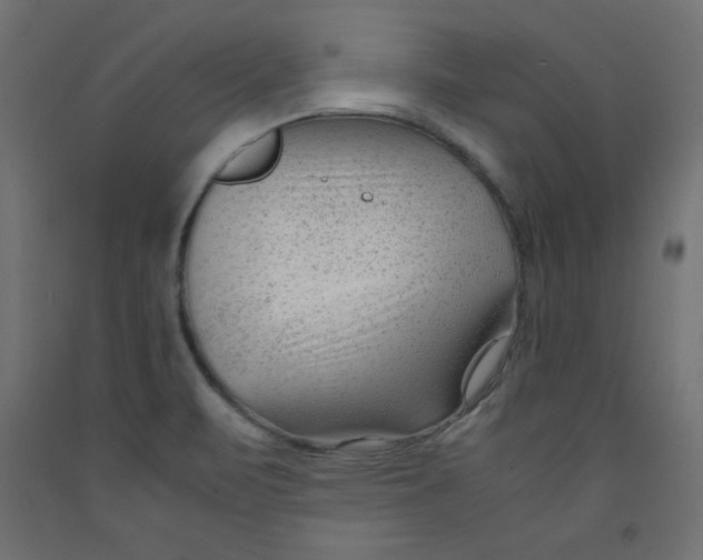 X0000092311471200710121448