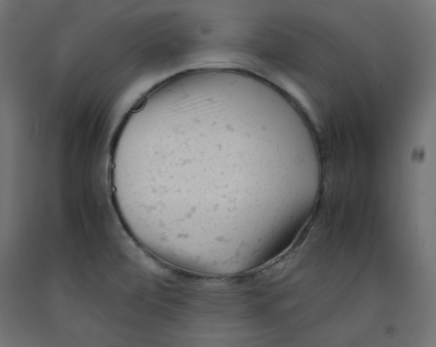 X0000092311472200710121448
