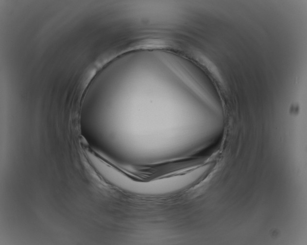 X0000092311473200710121448
