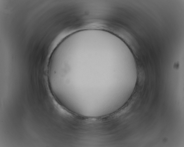X0000092311478200710121448