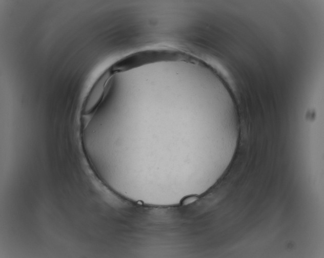 X0000092311480200710121448