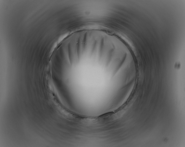 X0000092311481200710121448