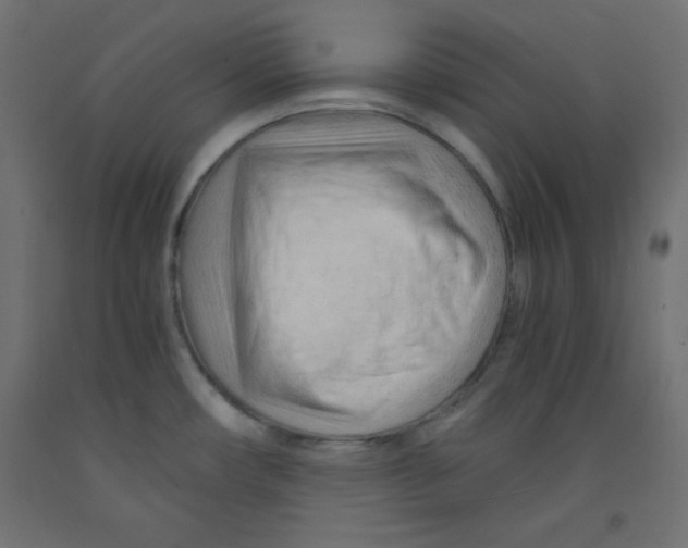 X0000092311482200710121448