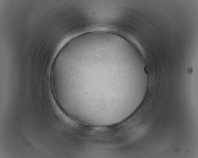 X0000092311483200710121448