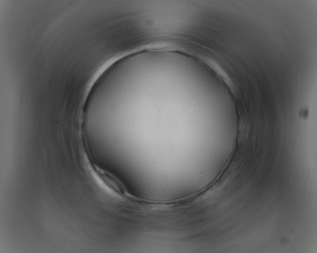 X0000092311484200710121448