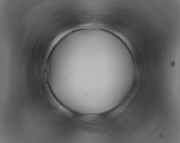 X0000092311486200710121448