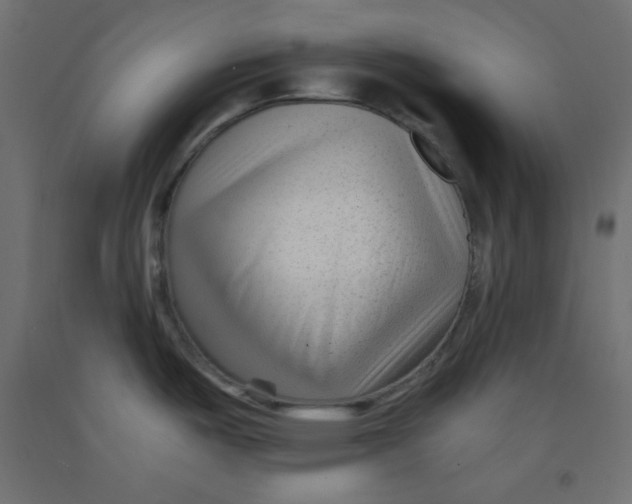 X0000092311487200710121448