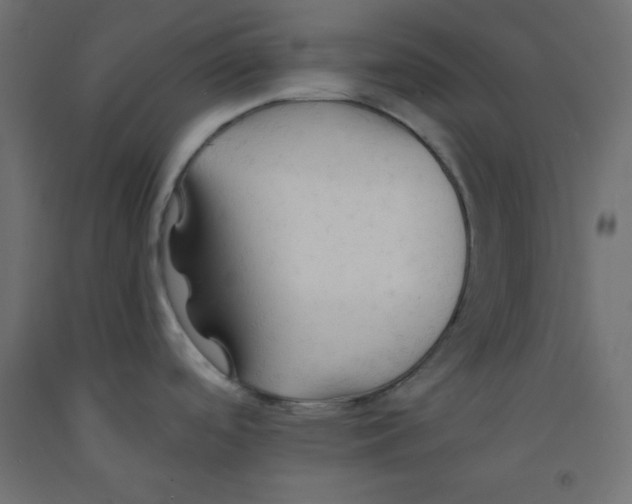 X0000092311488200710121448