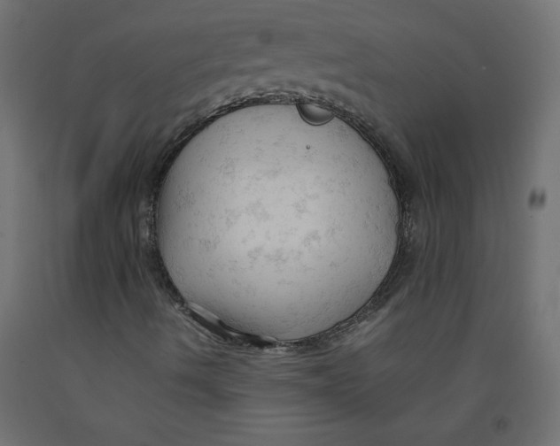 X0000092311490200710121448