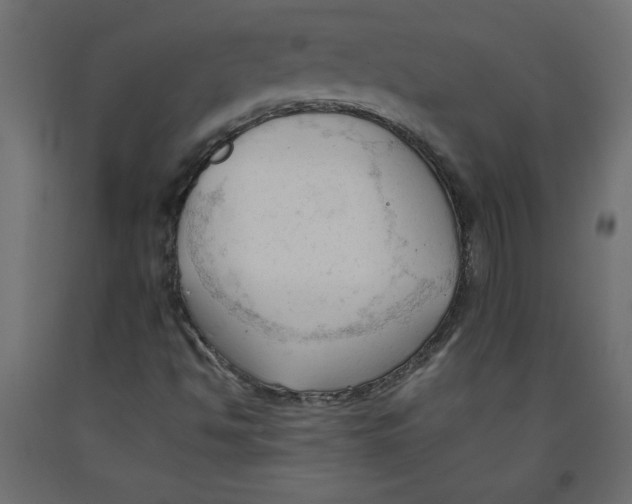 X0000092311494200710121448