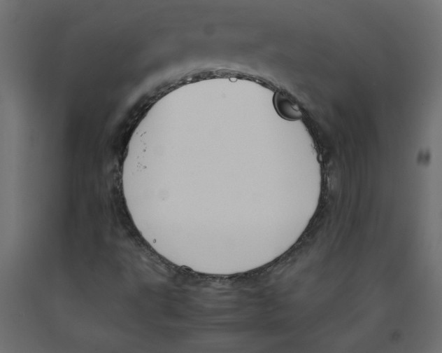 X0000092311495200710121448
