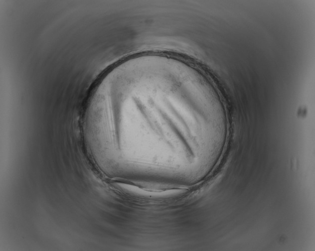 X0000092311497200710121448