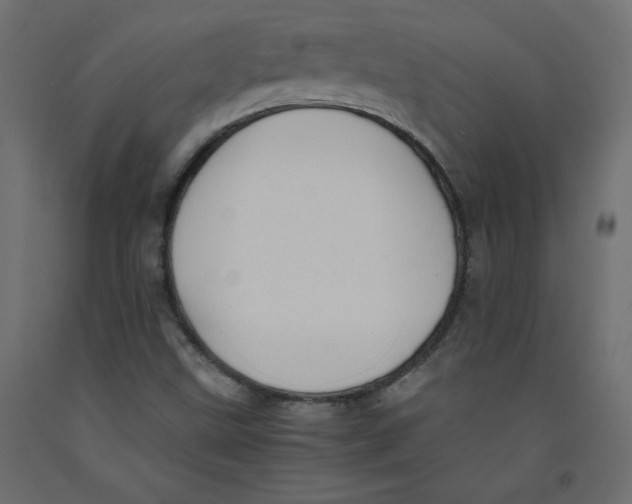 X0000092311499200710121448