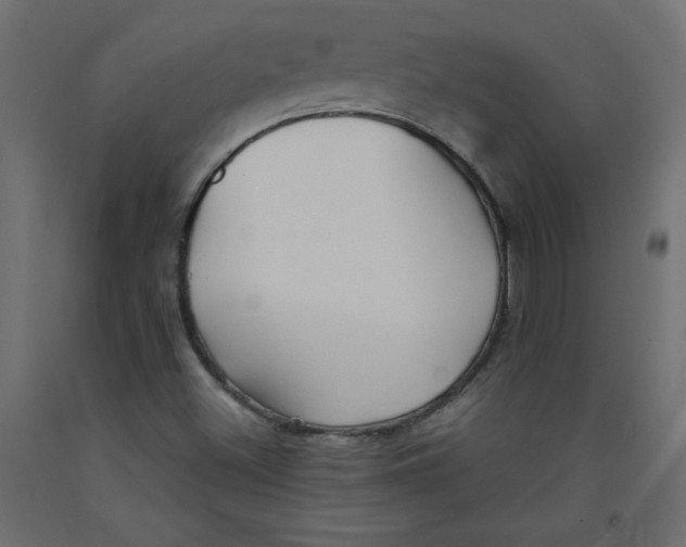 X0000092311500200710121448