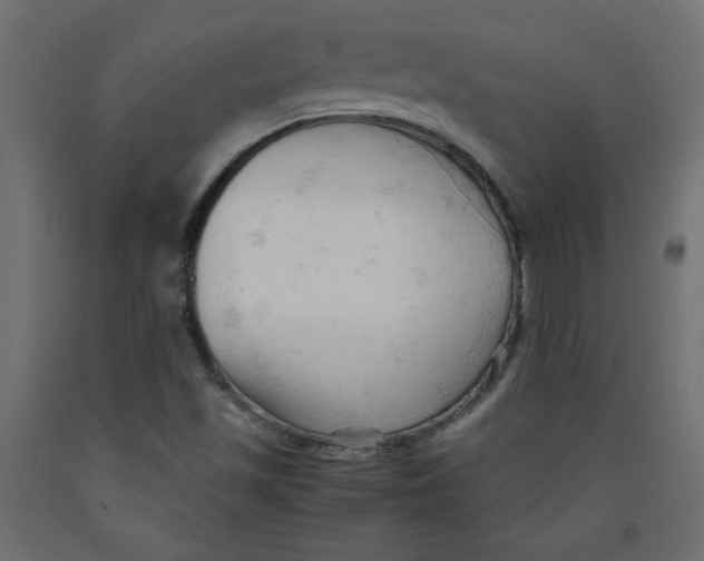 X0000092311501200710121448