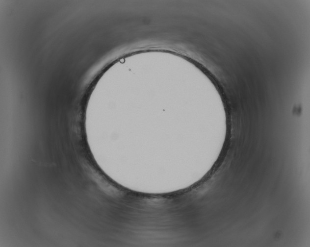 X0000092311502200710121448