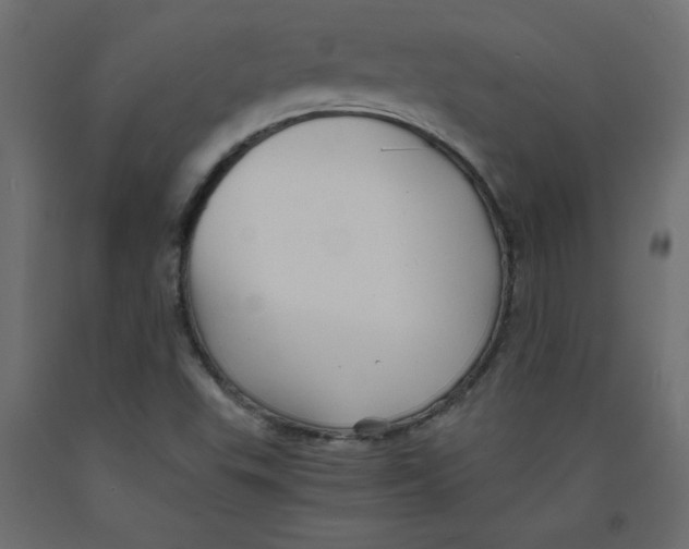 X0000092311503200710121448