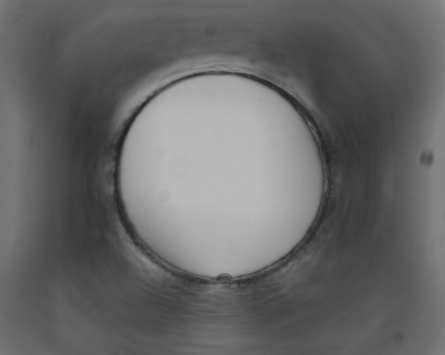 X0000092311504200710121448