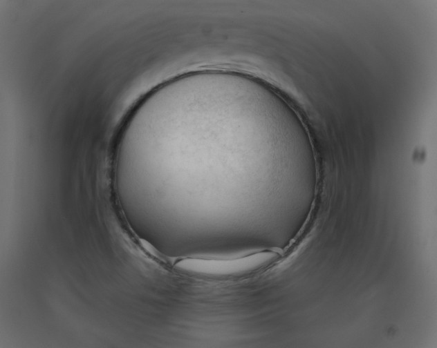 X0000092311506200710121448