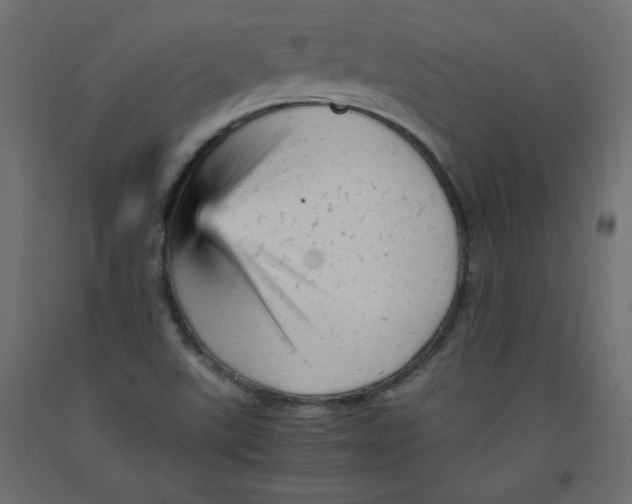 X0000092311507200710121448