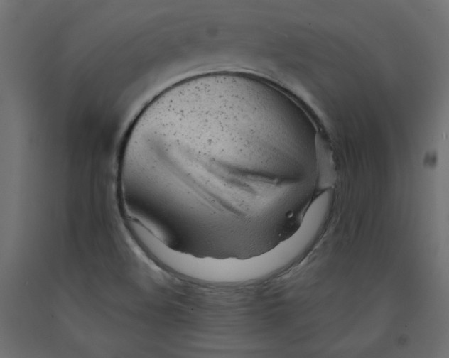 X0000092311508200710121448