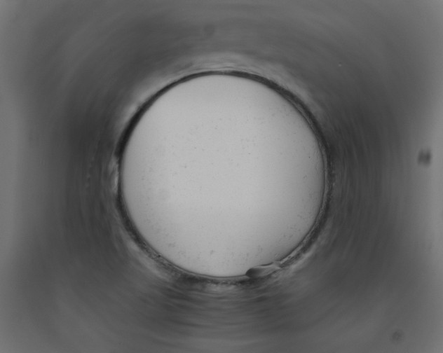 X0000092311509200710121448