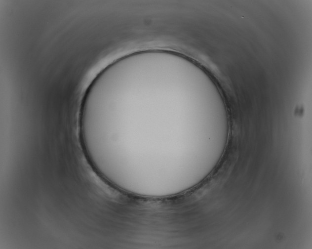 X0000092311512200710121448