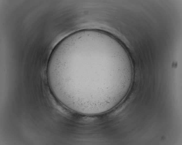 X0000092311513200710121448