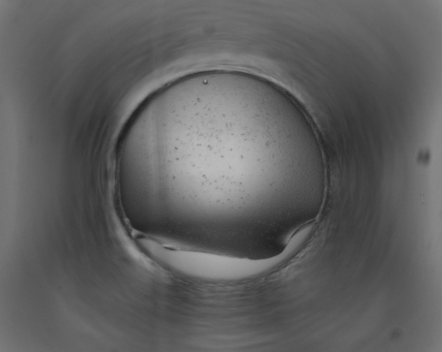 X0000092311515200710121448