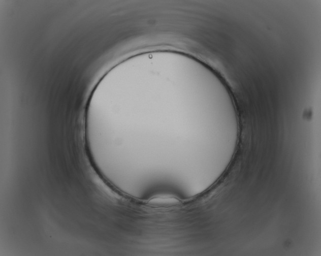 X0000092311516200710121448