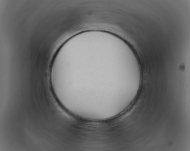 X0000092311517200710121448