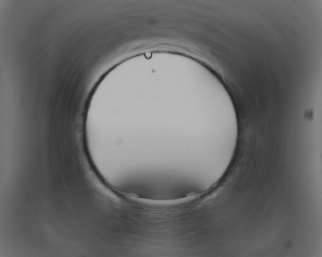 X0000092311518200710121448