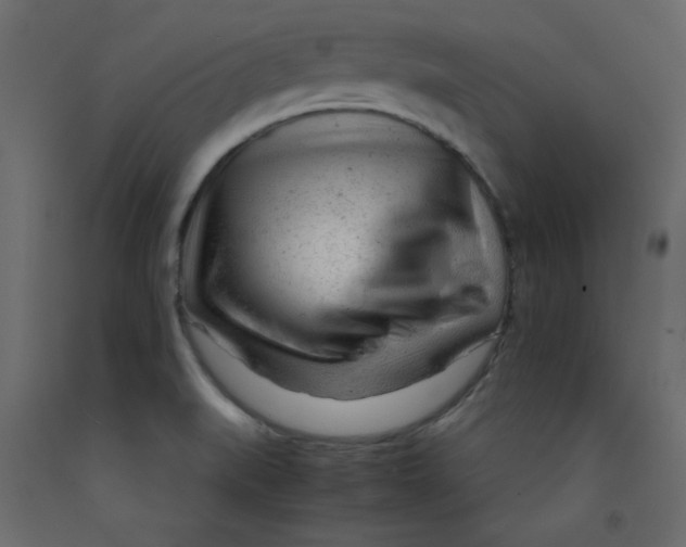 X0000092311519200710121448