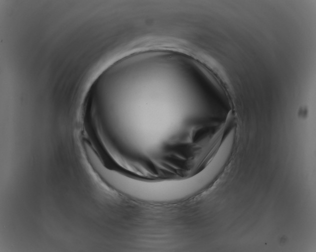 X0000092311520200710121448